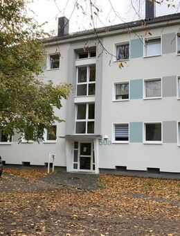Renovierte 3 Zimmerwohnung zu vermieten! - Leverkusen