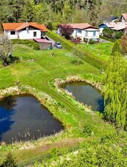 Großzügig und komfortabel - Natur-Randlage mit eigenem Fischteich - Güstrow