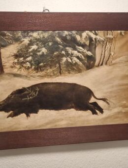 Bild Wildschwein in der Natur - Heuchelheim