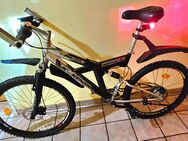 MTB - MC KENZIE , 26 Zoll, 21 Gang SHIMANO. Wie NEU. - Waldshut-Tiengen