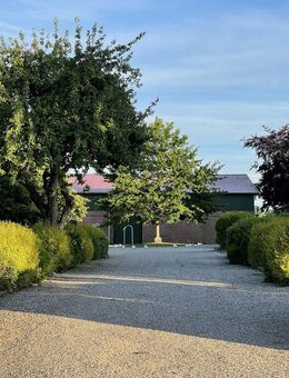 3,5-Zimmer-Whg. zu vermieten - Winnemark