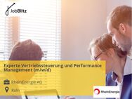 Experte Vertriebssteuerung und Performance Management (m/w/d) - Köln