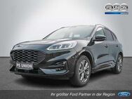 Ford Kuga 2.5 Plug-In Hybrid ST-Line HUD LED PANO - Halle (Saale)