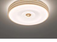 Deckenleuchte LED 3-stufig Dimmbar - Fürth Zentrum