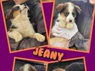 Süße Jeany sucht ihr Glück! - Nürnberg