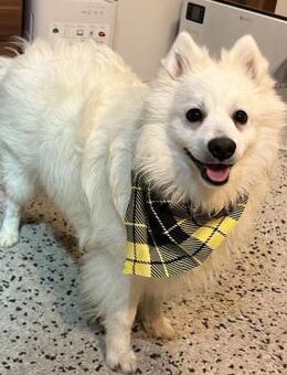 Rohdiamant Olaf freut sich auf dich! - Chemnitz