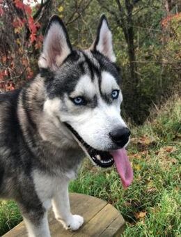 JURi 😍 will mit dir spielen - Mylau