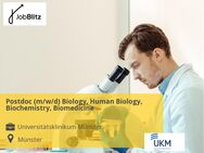 Postdoc (m/w/d) Biology, Human Biology, Biochemistry, Biomedicine - Münster