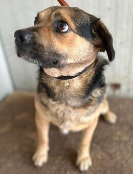 ❤️ lieber Kuschelbär BANDI ❤️ - Mamming