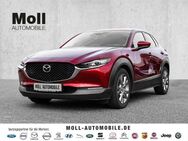 Mazda CX-30 Selection 2WD 2.0 SKYACTIV-G M Hybrid EU6d Des-P Act-P Bose HUD Navi 360 Kamera - Aachen