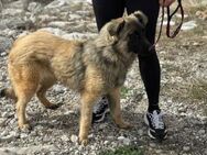 Bridget sucht das Glück - München