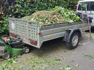 Gartenpflege Grünschnitt Rasen Hecke Baum - Gelsenkirchen