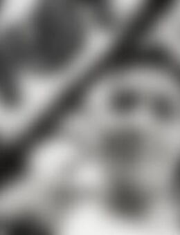 Dee*** - Lampertheim