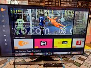 48 Zoll Samsung Led TV smart - Kassel