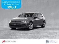 VW Golf, 1.5 TSI VIII LIFE, Jahr 2023 - Hof