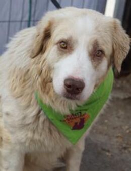 Wird Isamu dein Freund fürs Leben? - München