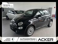 Fiat 500, 1.0 Mild Hybrid Komfort, Jahr 2024 - Bad Berleburg