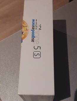 Apple iPhone 5S Spargelgrau - Odenbach