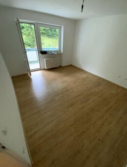 Gepflegte 2-Zimmer-Wohnung in Siegen Dillnhütten - Siegen (Universitätsstadt)