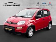 Fiat Panda, 1.0 Base Mild Hybrid Berganfahrass teilb Rücksb, Jahr 2024 - Bremerhaven