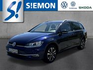 VW Golf Variant, 1.0 TSI Blue Motion IQ Drive, Jahr 2019 - Emsdetten