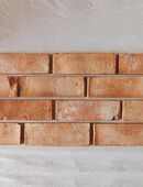 Echte alte Ziegelsteine Antik Riemchen Verblender Retro Klinker Backstein terracotta used look in 06198