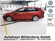 VW Golf Variant, 1.5 Golf VIII eTSI Style, Jahr 2023 - Wittenberg (Lutherstadt) Wittenberg