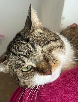 Miya tapfere und iiebesbedürftig - München