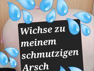 ❤️Schmutzigstes Niqabmädchen Deutschlands19 hilft dir beim wichsen❤️💋💦 - Dortmund Zentrum