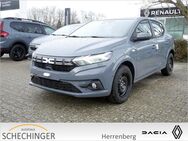 Dacia Sandero, Expression TCe 90, Jahr 2022 - Herrenberg