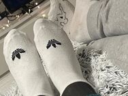 Getragene Socken zu verkaufen - Koblenz