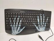 PC-Tastatur m. besonderem Erscheinungsbild "Graybusters" - Simbach (Inn) Zentrum