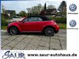 VW Beetle, 2.0 TSI Cabrio R-Line 20Zoll, Jahr 2017 in 83233