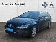 VW Golf, 1.5 TSI VII Comfortline OPF (6d, Jahr 2019 - Bad Salzungen