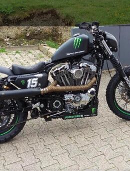Harley Davidson Monster Unikat - Westerstede
