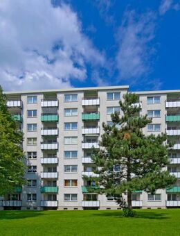 Ab 01.09. frei! 2-Zimmer-Wohnung in Solingen Wald - Solingen (Klingenstadt)