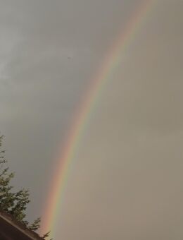 Neues Familienmitglied - Donauwörth