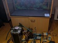Aquarium 160l zu verkaufen - Hagen (Stadt der FernUniversität)