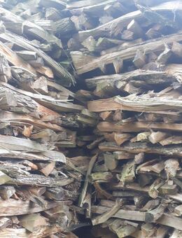 Brennholz zu verkaufen - Rettenbach (Regierungsbezirk Schwaben)