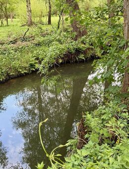Historische Hofstelle in Burg (Spreewald) direkt am großen Wildbahnfließ zu verkaufen! - Burg (Spreewald)