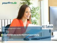 Teamleiter (m/w/d) Rechnungsprüfung - Eislingen (Fils)