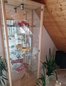 Glasvitrine, guter Zustand, keine Schäden, Selbstabholung in 71546