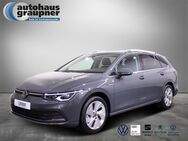 VW Golf Variant, 1.5 Golf VIII Style eTSI, Jahr 2024 - Brandis