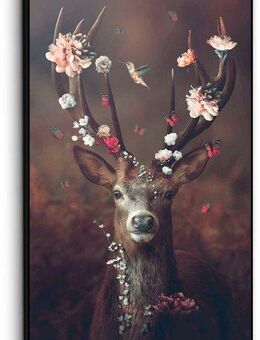 Reinders! Bild Hirsch