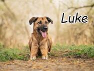 Zeigen Sie Luke die nötige Ruhe?? - Essingen (Rheinland-Pfalz)