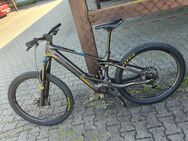 Orbea, Wild M10, Sonstige, 2024, Carbon, 29'' - Aidenbach