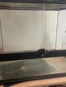 Terrarium in 06366