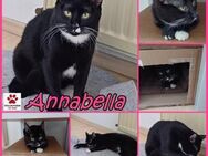Annabella sucht das Glück - Margetshöchheim