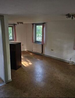 Kleineres EFH auf großem Grundstück - Vorwerk