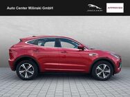 Jaguar E-Pace P300e R-Dynamic S Totwinkel AHK - Bruchköbel